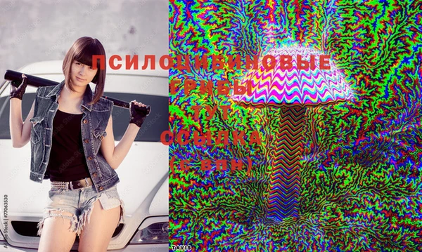 крисы Красноперекопск