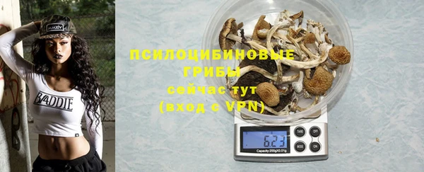 гашик Краснотурьинск